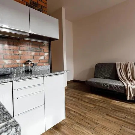 شقة Apartments- Cozy And Stylish - Kosciuszki 28 *